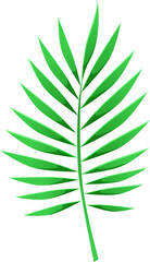 Tropical leaf png. Decoration foliage in cartoon style. Illustration isolated on transparent background.
