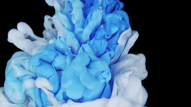 Frozen Sapphire Elixir: Blue and White Hues in Captivating Fluid Art, Slow Motion of Liquid Ink Isolated