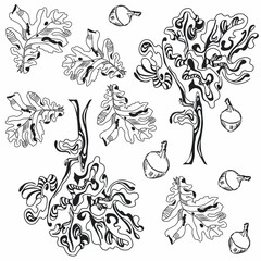 Pattern from the stylized tree of an ordinary oak. A modern image with a smooth flowing line. Beautiful unusual nature design. Black drawing on a white background.