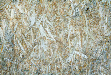 Contrasting background of weathered chipboard with a rough bright texture