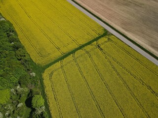 View from above of blooming oilseed rape with a road and a plowed arable field in spring 