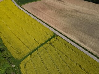 Aerial view of a landscape with yellow blooming rapeseed, brown arable land with soil and a asphalt road in springtime 