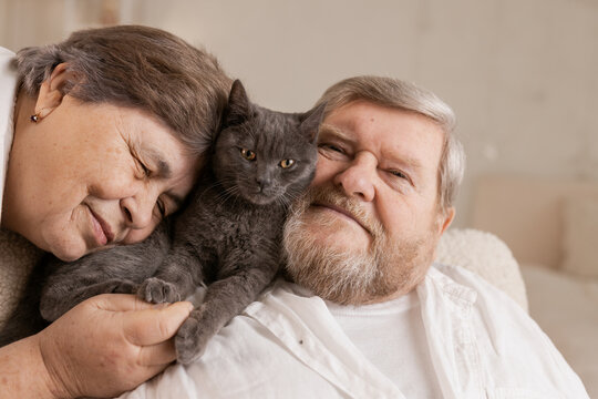 elderly people take care of cats and enjoy them at home