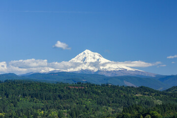 mount hood state