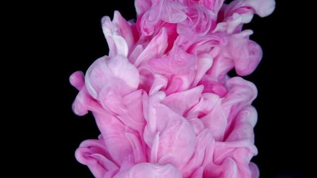 Dreamy Ink Fusion: Slow Motion of Pink Paint Drops Creating Beautiful Soft Colors