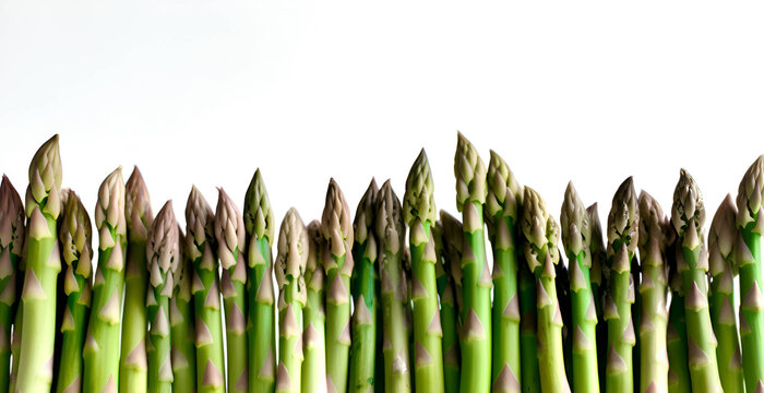 Asparagus in a Row on White Background: AI Generated Image