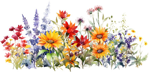 Fototapeta na wymiar flowers watercolor
