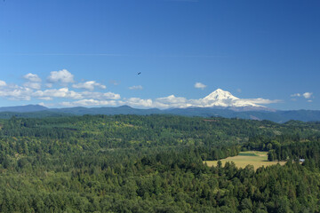mount hood