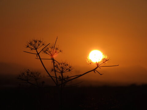 Puesta de sol naranja 001