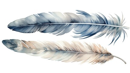 Photo watercolor gentle feathers pastel grey tones with blue Generative AI