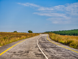 Fototapeta na wymiar Winding road through pine tree forest during a summer afternoon on Panorama Route, Mpumalanga, South Africa