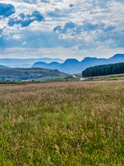 Vertical shot of grassland, rolling hills and mountains valley with a dramatic sky on panorama route, Mpumalanga, South Africa