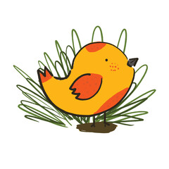 Cute sketch hand drawn vector orange and red little chick in grass illustration. Bright cartoon childish funny farm bird poult for kids print design, greeting cards, print, stickers, logo