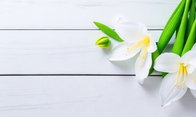 Lily flowers on white wooden background