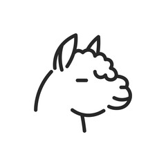 Adorable Llama Icon. Vector Outline Editable Sign for Pet Stores, Animal Care Websites, Vet Clinic Services and Wildlife Illustrations