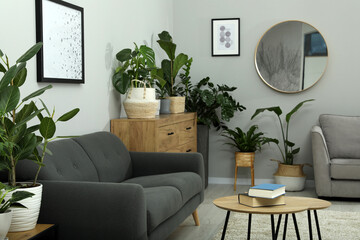 Stylish room with comfortable sofa and beautiful houseplants. Interior design