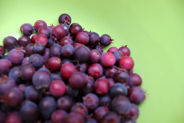 130617ジューンベリー
ジューンベリー