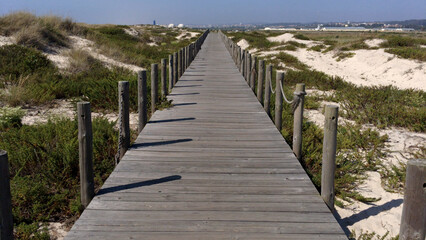 Fototapeta na wymiar Sand dunes and Beach in Esmoriz, Ovar - Portugal