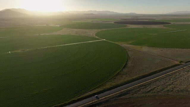 Aerial shot of car driving on dirt road in near pivots with green farm growth in Willcox, Arizona, wide side angle drone shot with mountains in the background