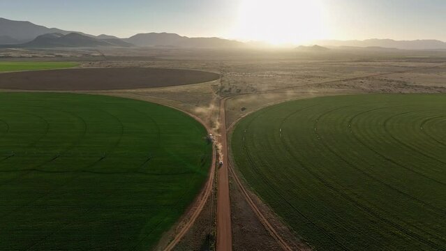 Aerial shot of car driving on dirt road in near pivots with green farm growth in Willcox, Arizona, wide  drone shot