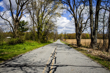 country road in spring