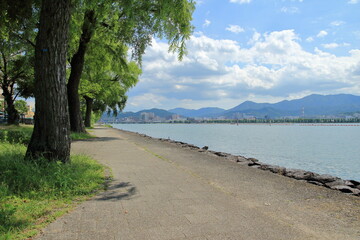 夏の琵琶湖岸の風景