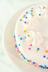 Birthday cake with funfetti sprinkles