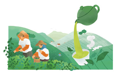 Tea farmers working in tea field