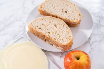 Provolone and Apple Grilled Cheese Sandwich