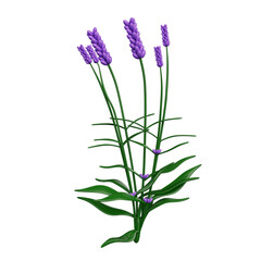 Flowers 3D Illustration Object