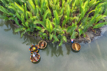 Aerial view, tourists from Thailand, Korea, America and Japan are relax and experiencing a basket boat tour at the coconut water ( mangrove palm ) forest in Cam Thanh village, Hoi An,Quang Nam,Vietnam