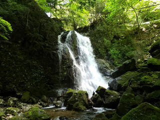 Fototapeta premium 延ヶ滝