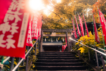 Sasuke Inari shrine - obrazy, fototapety, plakaty