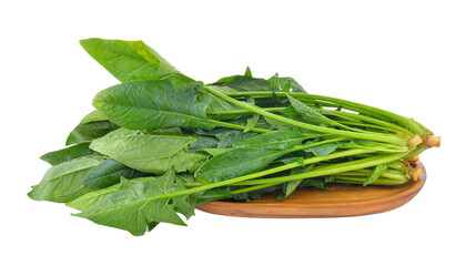 Spinach leaves isolated on transparent png