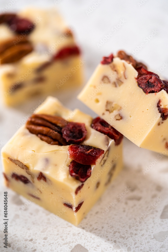 Sticker homemade white chocolate cranberry pecan fudge