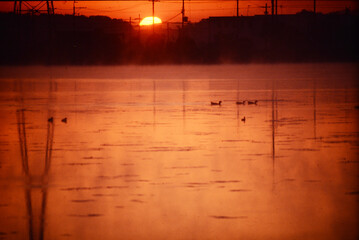 、朝日の出る池