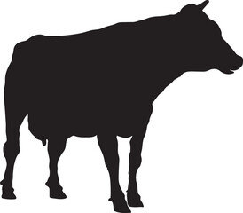 angry cow illustration, cow vector suitable for eid al adha logo, cow silhouette suitable for qurban coupon background