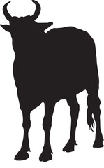 angry cow illustration, cow vector suitable for eid al adha logo, cow silhouette suitable for qurban coupon background