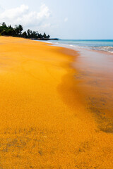 The golden beach of the Indian Ocean