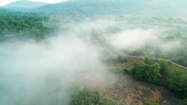 greenery village coming smoke bottom to top  bird eye view in malvan