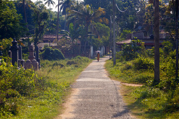 Fototapeta na wymiar The road by the cemetery in Sri Lanka