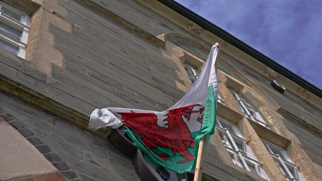 Cardigan, UK - May 17 2023: The Welsh flag caught in a snag and unable to fly freely in the wind