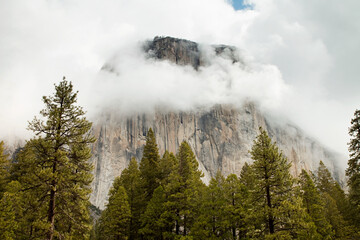 Fototapeta na wymiar el capitan yosemite national park california usa