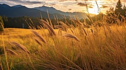 at dusk, untamed grass in the highlands. GENERATE AI