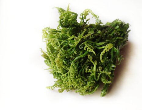 The vegetable fern is an edible fern found throughout Asia and Oceania. It is probably the most commonly consumed fern. It is also known as Fiddle head fern. Scientific name - Diplazium esculentum.