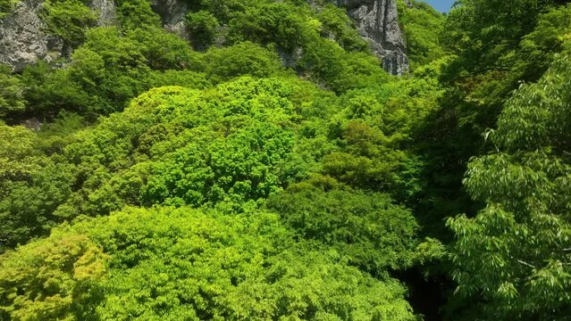 DJI_0140.mp4