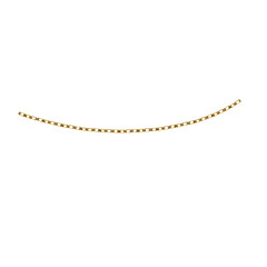 golden necklace isolated