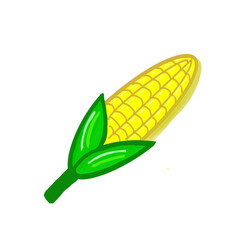 corn on the cob