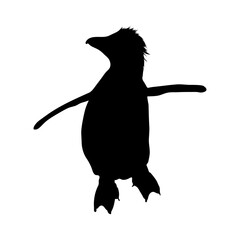 Standing Rockhopper Penguin Silhouette. Good To Use For Element Print Book, Animal Book and Animal Content