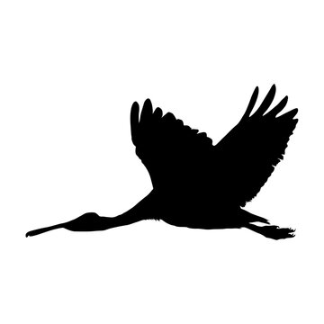 recommend clip art: Flying Roseate Spoonbills Silhouette. Good To Use For Element Print Book, Animal Book and Animal Content